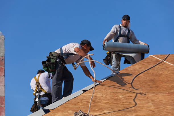 Best Roof Leak Repair  in Dayton, TN
